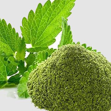 Mint Leaves Powder