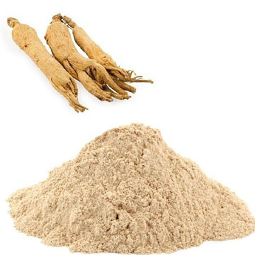 Ginseng Extract