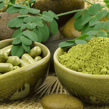 Moringa Extract