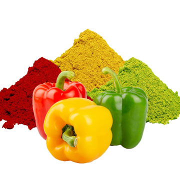 Spray Dried Capsicum Powder