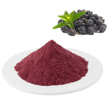 Spray Dried Blackberry Powder