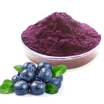 Spray Dried Blueberry Powder