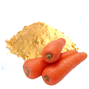 Spray Dried Carrot Powder