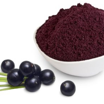 Spray Dried Elderberry Powder