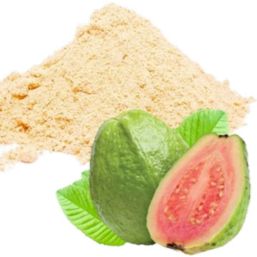 Spray Dried Guava Powder