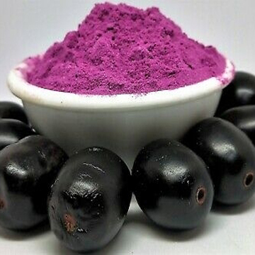 Spray Dried Jamun Powder (Plum)