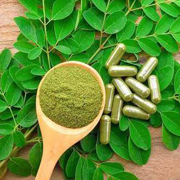 Spray Dried Moringa Powder