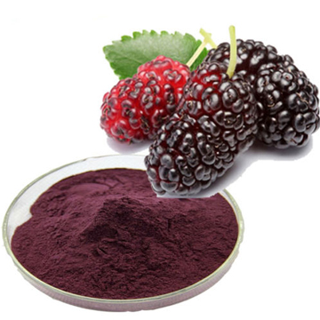 Spray Dried Mulberry Powder