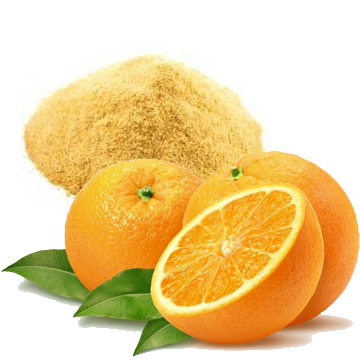 Spray Dried Orange Powder