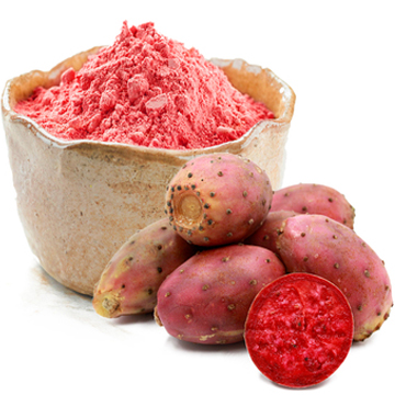 Spray Dried Prickly Pear Fruit Powder