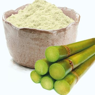 Spray Dried Sugarcane Powder