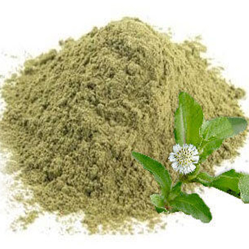 Bhringraj Powder