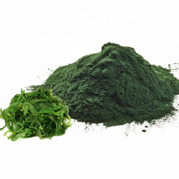 Chlorella Powder