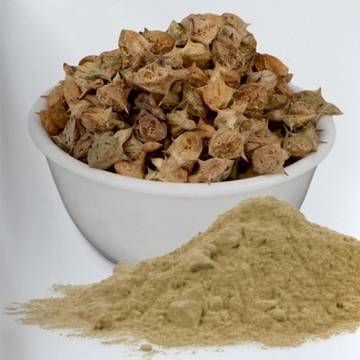 Gokhru Powder