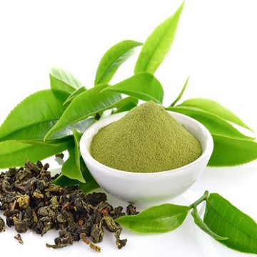 Green Tea Powder