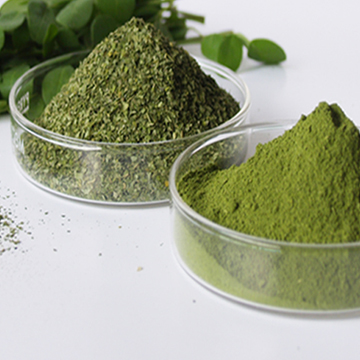 Moringa Powder