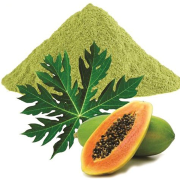 Papaya Leaves Powder