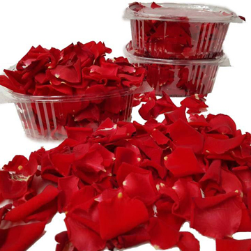 Rose Petals