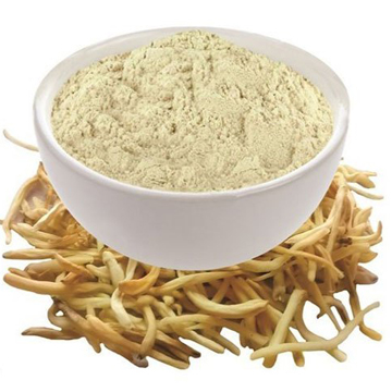 White Musli Powder